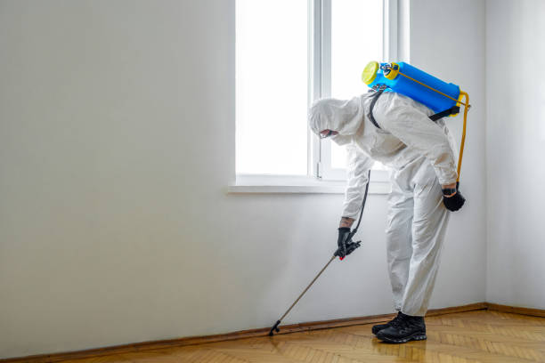 Emergency Pest Control Services in Glassboro, NJ